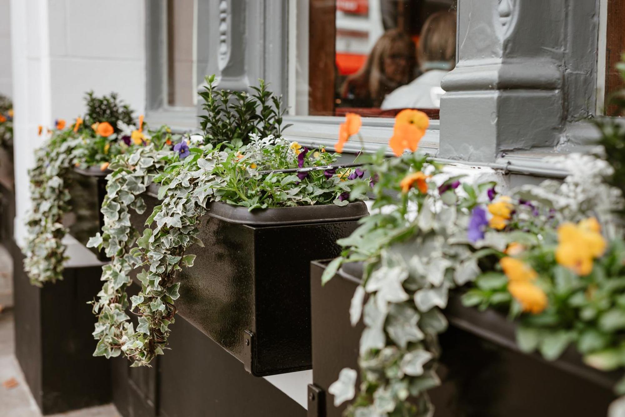 Hand & Flower Лондон Экстерьер фото